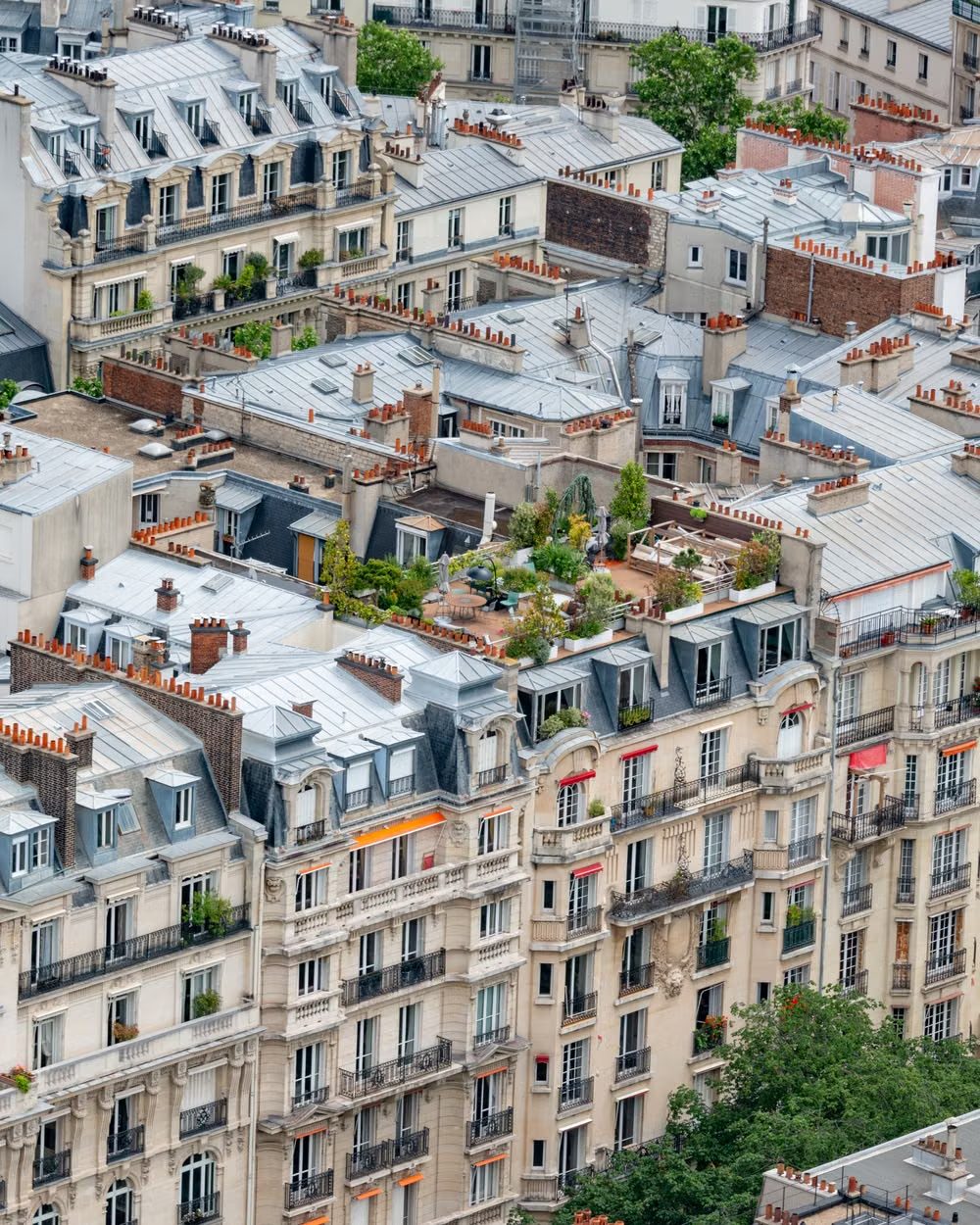 Parisian rooftops and chimney stacks